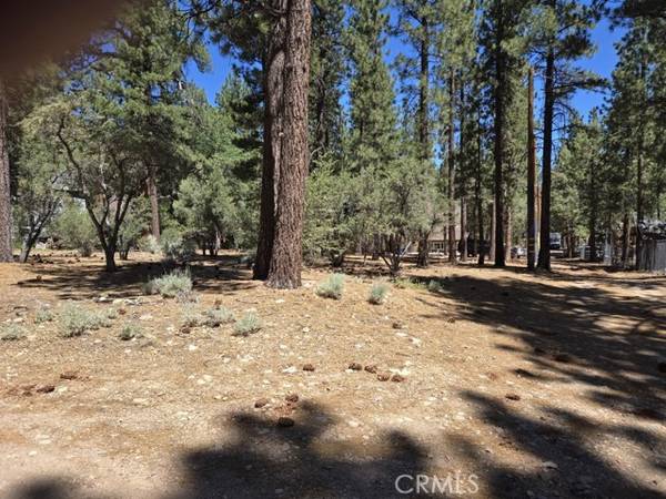 0 Pine Ridge, Big Bear City, CA 92314