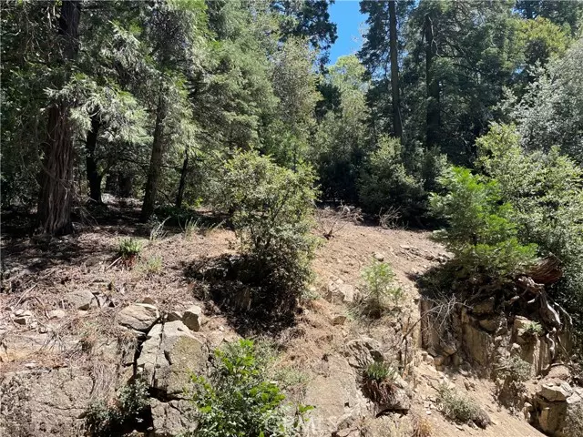 150 Lot 150 Berne, Crestline, CA 92325