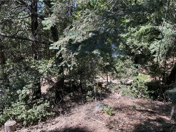 Crestline, CA 92325,150 Lot 150 Berne