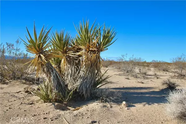 Joshua Tree, CA 92252,38 Lot 38 Sunfair