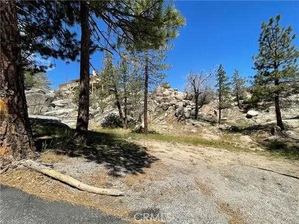 Arrowbear, CA 92382,0 Lookout Dr