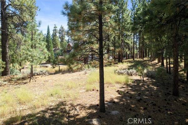 Big Bear Lake, CA 92315,0 Forest