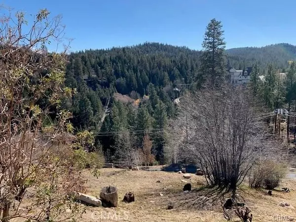 Lake Arrowhead, CA 92352,26805 Inyo