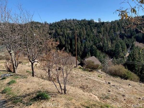 26805 Inyo, Lake Arrowhead, CA 92352