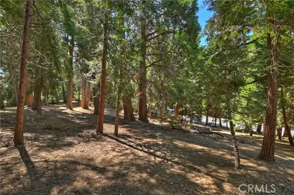 Lake Arrowhead, CA 92352,388 Cedar Ridge