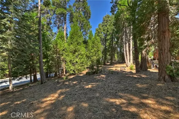 Lake Arrowhead, CA 92352,388 Cedar Ridge