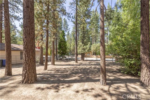 924 W Rainbow Boulevard, Big Bear City, CA 92314