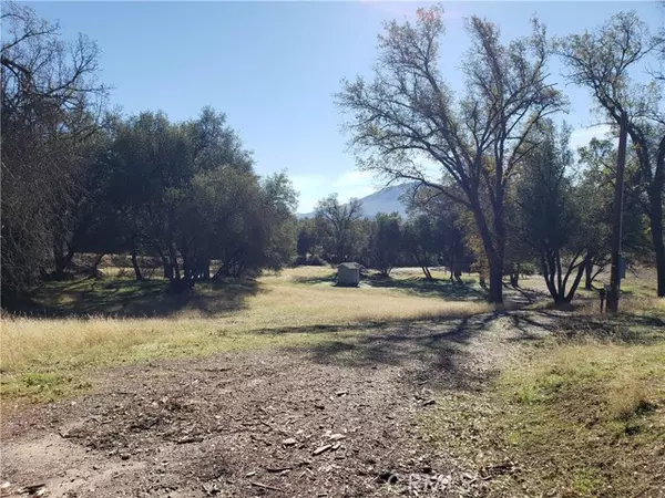 45574 Pine River, Ahwahnee, CA 93601