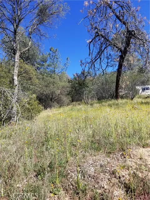 Coarsegold, CA 93614,44174 Trabuco