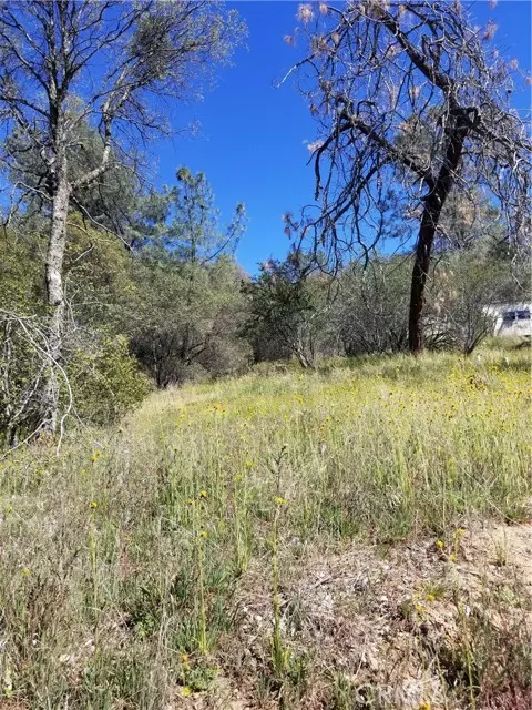 Coarsegold, CA 93614,44174 Trabuco