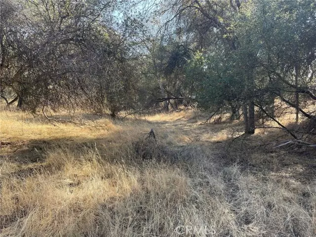 0 Chickasaw, Coarsegold, CA 93614