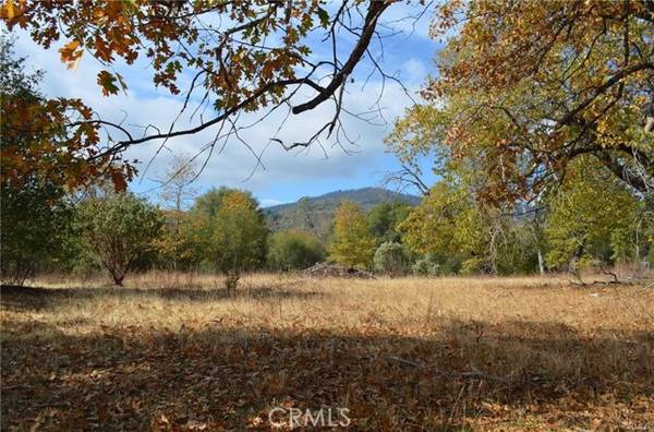 2 Sneezeweed, North Fork, CA 93643