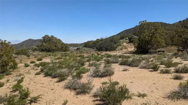 60677 Rimrock Canyon, Anza, CA 92539