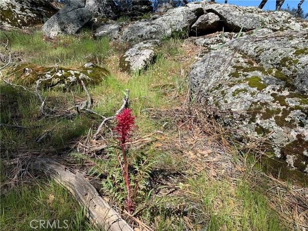 Coarsegold, CA 93614,123 Quartz Mountain