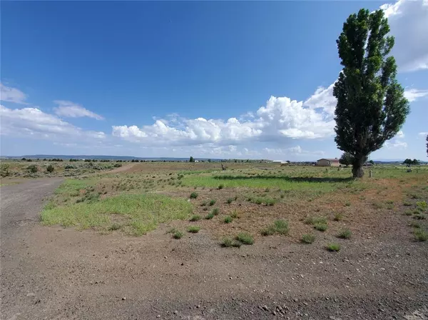 Alturas, CA 96101,0 Shasta View