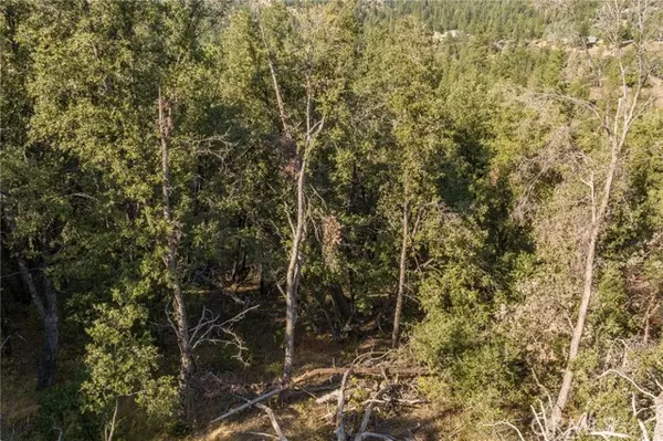 Oakhurst, CA 93644,0 Yosemite Pines