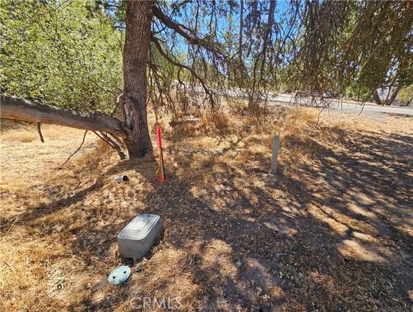 Coarsegold, CA 93614,46 Ranger Circle