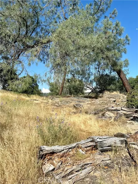 Coarsegold, CA 93614,0 Corral