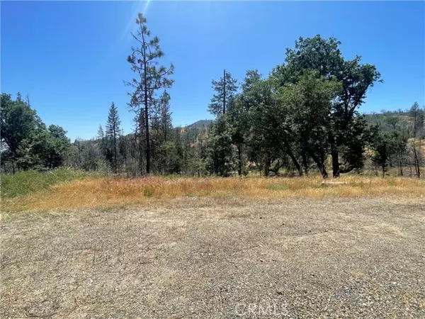 Mariposa, CA 95338,6264 Jerseydale