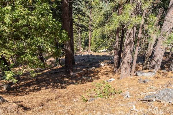 7477 Yosemite Park, Yosemite, CA 95389