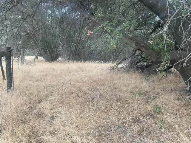 Ahwahnee, CA 93601,43020 Apache Ranch