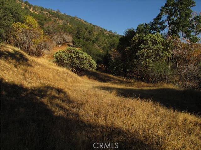 North Fork, CA 93643,2 Old Oaks