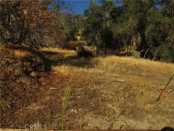 North Fork, CA 93643,2 Old Oaks