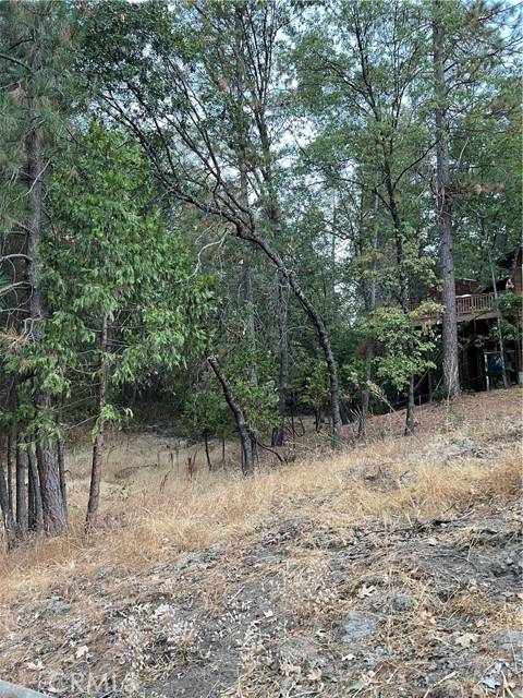 Bass Lake, CA 93604,0 Blue Gill