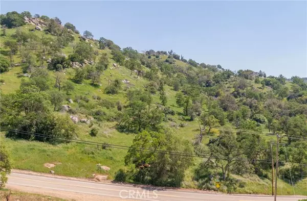 Squaw Valley, CA 93675,0 Pepperweed