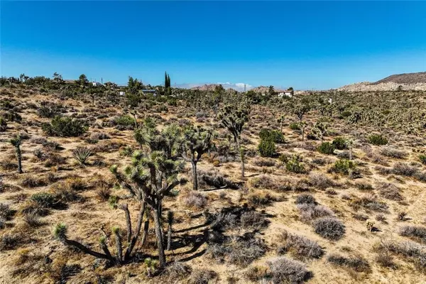 56325 Skyline Ranch, Yucca Valley, CA 92284