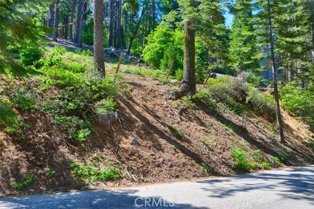 Yosemite, CA 95389,7420 Henness Ridge