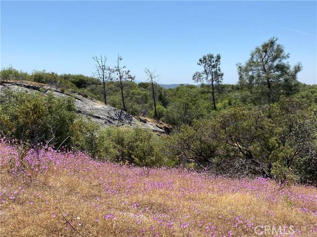 Coarsegold, CA 93614,0 Flying O Ranch Rd.