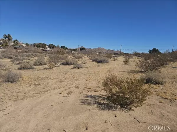 Apple Valley, CA 92307,0 Tuscola