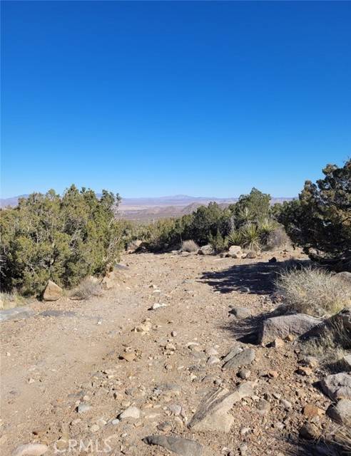 Lucerne Valley, CA 92356,0 Near Powerline