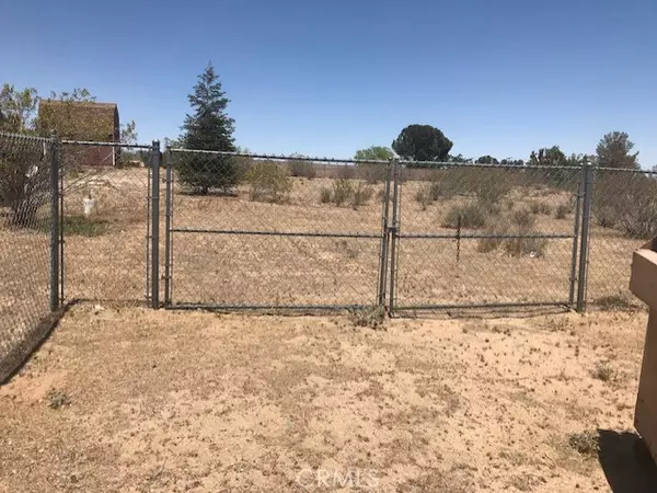 Hesperia, CA 92345,0 Deodar