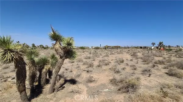 Phelan, CA 92371,0 Nevada