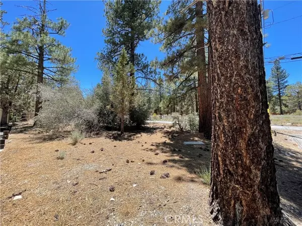 Big Bear City, CA 92314,0 Manzanita Lane