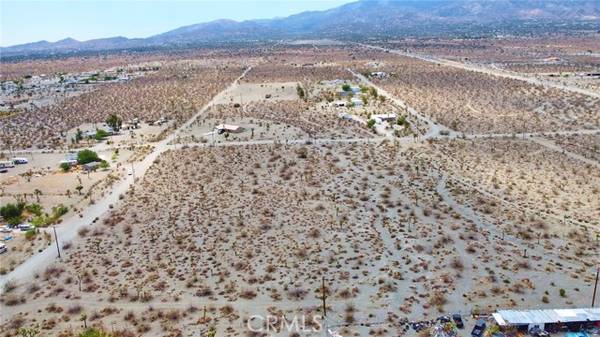 Pinon Hills, CA 92372,0 Buckwheat