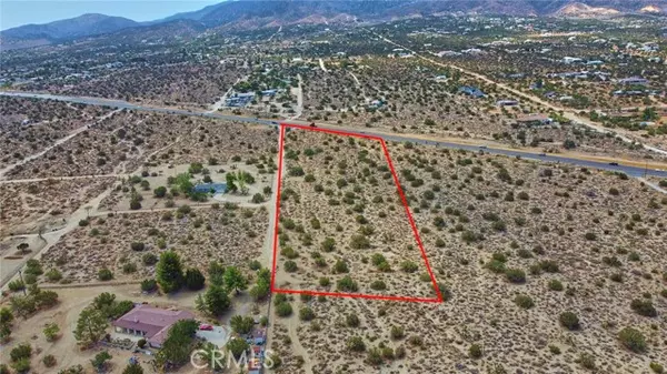 Pinon Hills, CA 92372,0 Buckwheat