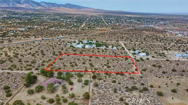 Pinon Hills, CA 92372,0 Buckwheat