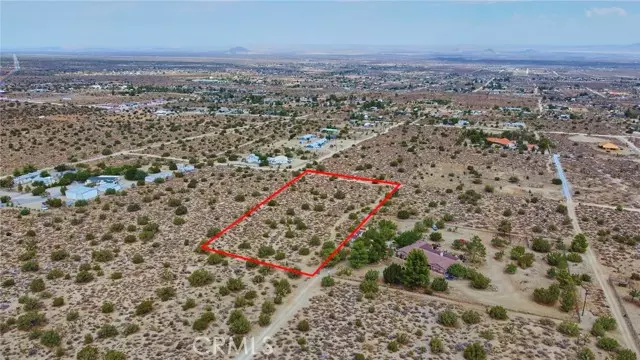 Pinon Hills, CA 92372,0 Buckwheat