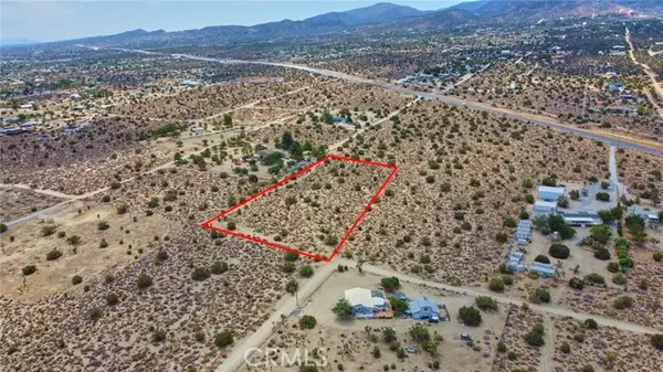 Pinon Hills, CA 92372,0 Buckwheat