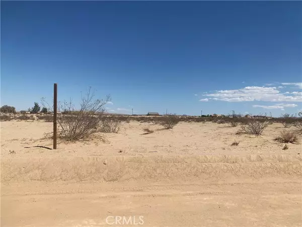 Barstow, CA 92311,0 Ivy