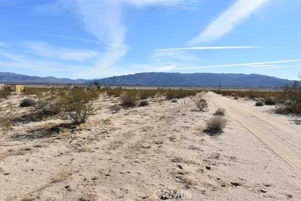 29 Palms, CA 92277,0 Baileya