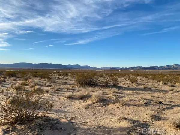 Lucerne Valley, CA 92356,0 Dido