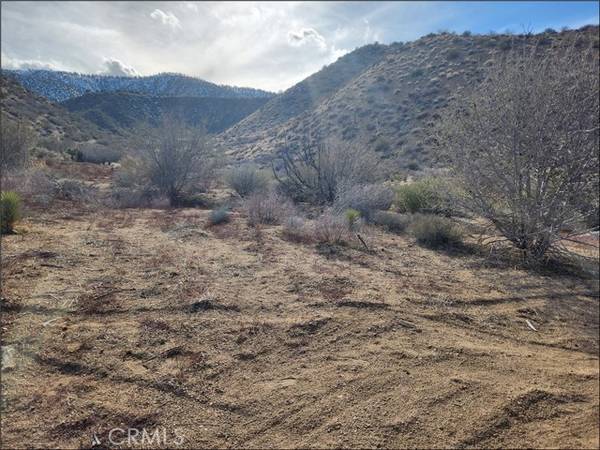 Pinon Hills, CA 92372,0 Green