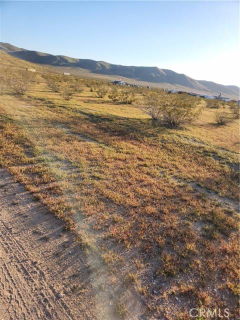 Barstow, CA 92311,0 Caspar