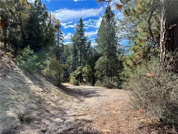 Lake Arrowhead, CA 92321,0 Little Bear Creek