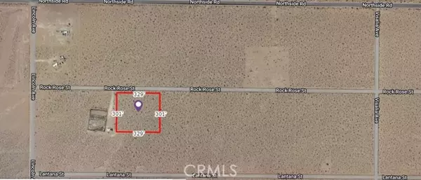 Lucerne Valley, CA 92356,0 Rock Rose