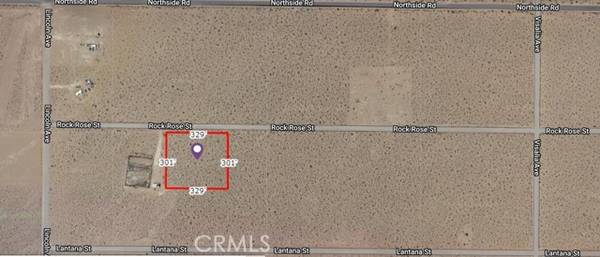 Lucerne Valley, CA 92356,0 Rock Rose